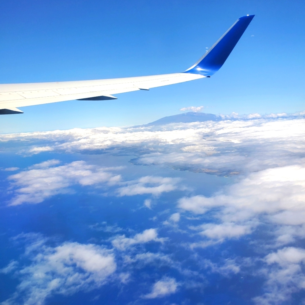 Price Drops In My Closet